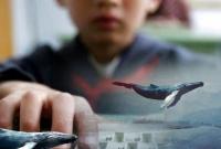 Психолог рассказала, почему подростки играют в суицидальные игры