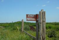 В РФ чиновник погиб, провалившись в скотомогильник