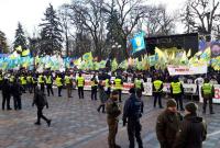 Под Радой снова собираются митингующие