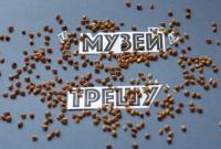 Музей избирательного треша: в Киеве пройдет выставка о подкупе избирателей