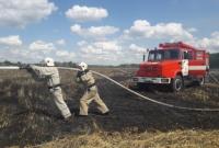 В Киевской области сгорело 15 га поля ячменя