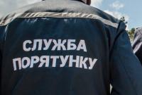 В Киевской области пенсионера вытаскивали из болота