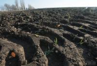 Разумков допустил введение рынка земли в Украине на протяжении года