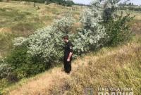 В Одесской области пропала 11-летняя девочка: к поискам привлекли авиацию