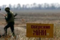 Разминирование в Золотом: изъято 9 взрывоопасных предметов