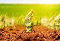Зеленский о рынке земли: прорабатывается вопрос о продаже иностранцам