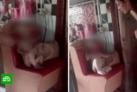 "Давай, задохнись": россиянка жестоко издевалась над годовалой дочкой (видео)