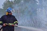 В Чернобыльской зоне продолжается тушение трех очагов пожара